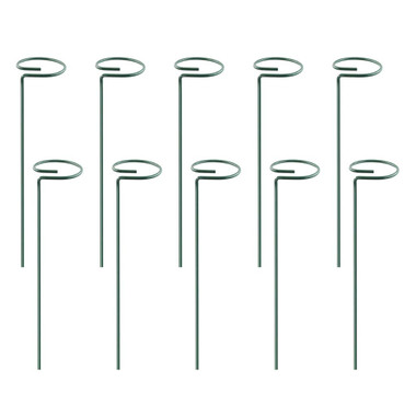 iNova™ Plant Support Stake (10-Pack) product image