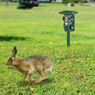 Solar Ultrasonic Animal Repeller product image