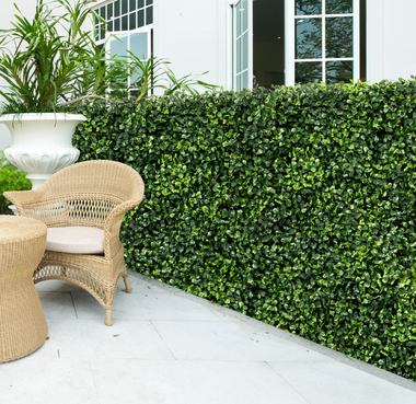 Artificial Boxwood 20'' x 20'' Hedge Wall Panels (Set of 12) product image