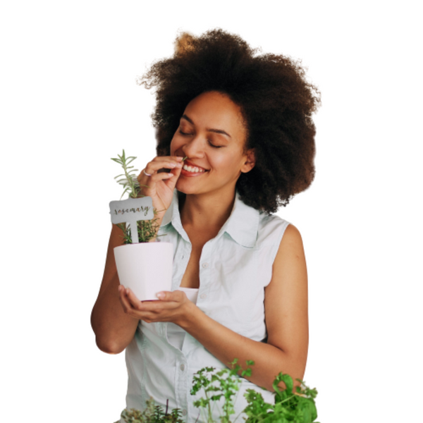 Window Garden Markers Herb Plant Identification Stakes (Choose 5) product image