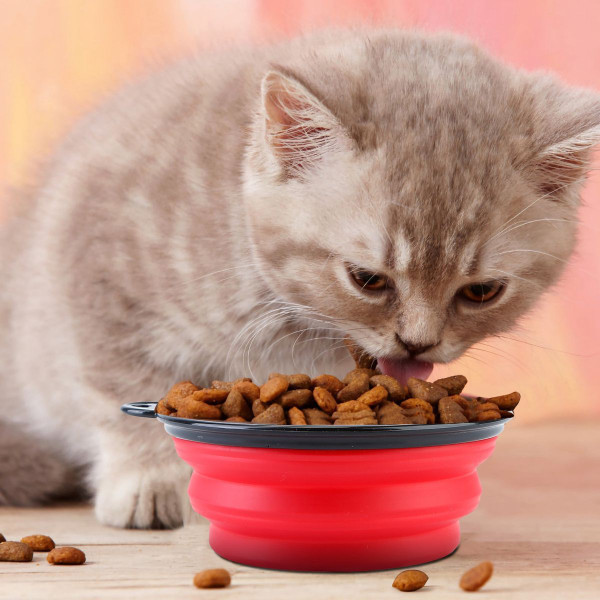 PetLuv™ 4-Piece Silicone Collapsible Pet Bowls product image