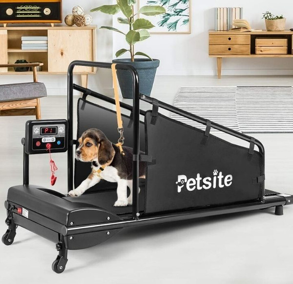 Petsite Pet Treadmill Indoor Exercise for Dogs Pet Exercise