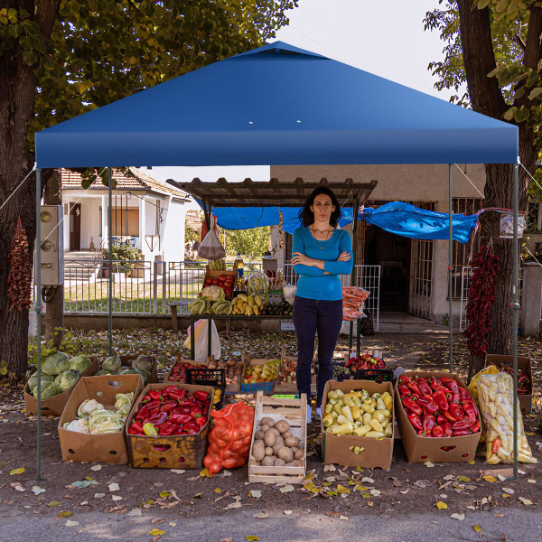 Outdoor Patio 10' x 10' Instant Pop-up Canopy product image