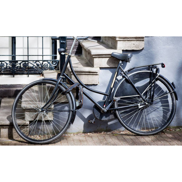iMounTEK® 5.9-Foot Bike Chain Lock with 3 Keys product image
