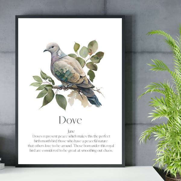 Monthly Birds Wall Art Prints product image