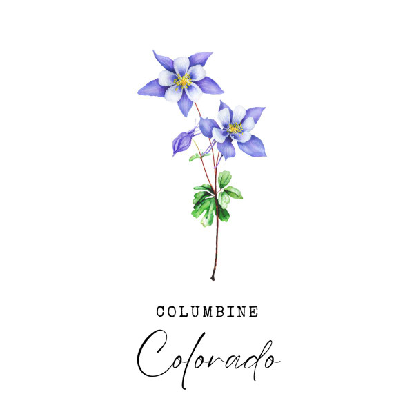 State Flower Wall Art Print product image