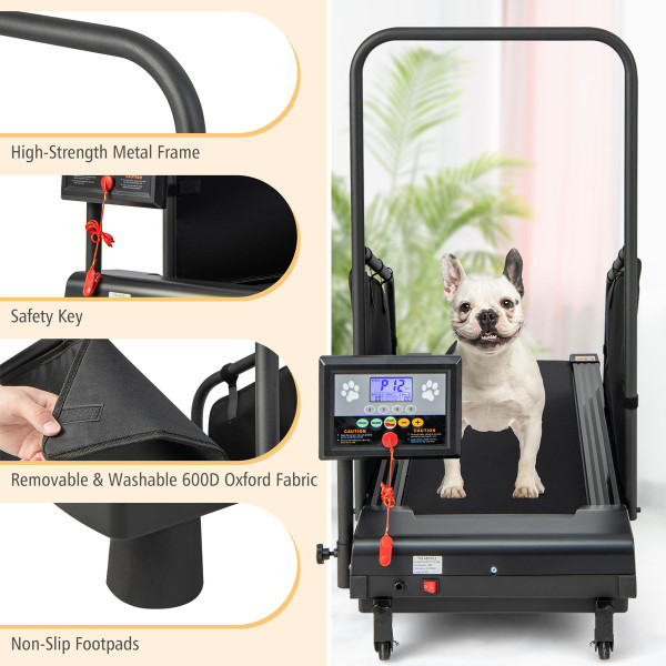 Indoor Pet Exercise Treadmill with Remote Control product image