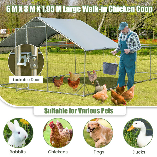 Large Metal Walk-in Chicken Coop product image