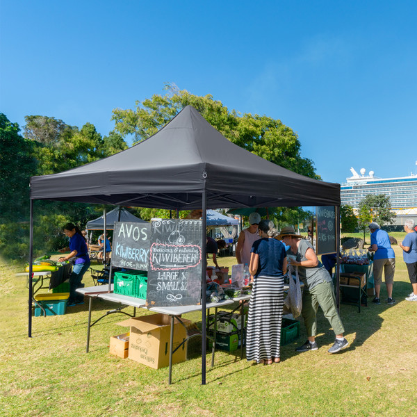 10 x 10-Foot Portable Pop Up Canopy with Roller Bag & 4 Sand Bags product image 10 x 10-Foot Portable Pop Up Canopy with Roller Bag & 4 Sand Bags product image