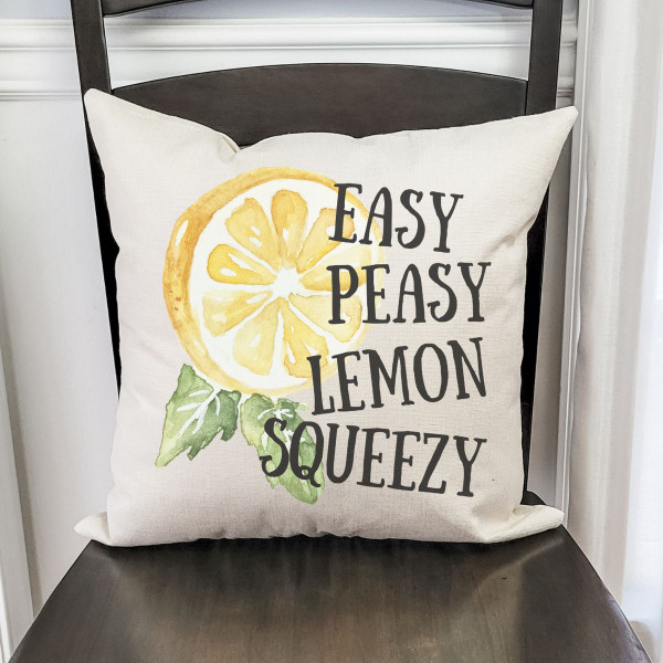 18 x 18-Inch Farmhouse Summertime Pillow Covers product image