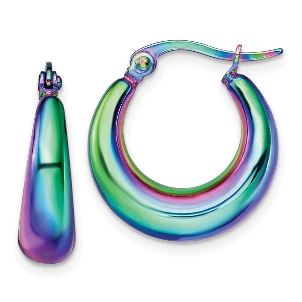 Rainbow IP-Plated Stainless Steel Hoop Earrings  product image