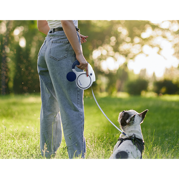 Renewgoo® 16-Foot Retractable Dog Leash with Flashlight & Bag Holder product image