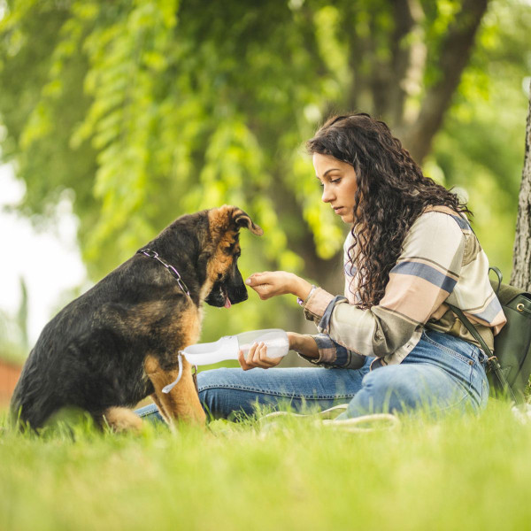 iMounTEK® 2-in-1 Portable Dog Water & Food Bottle product image