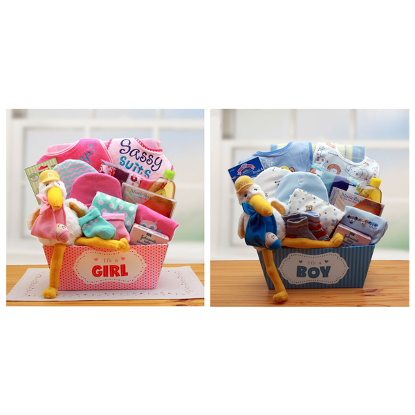 A Special Delivery Baby Gift Basket (Girls & Boys) product image