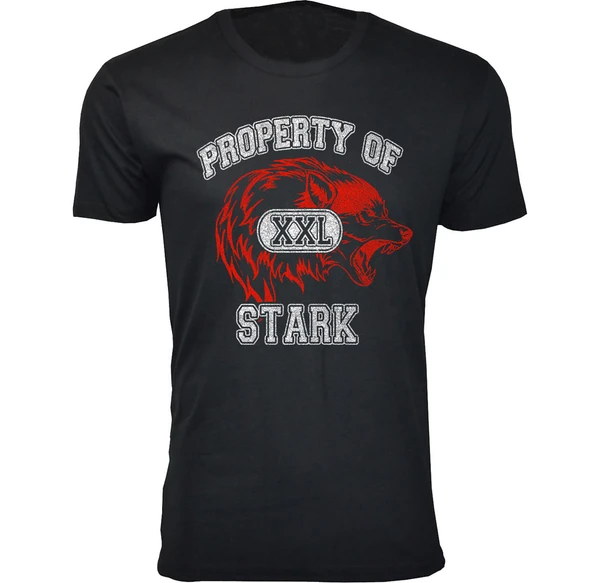 Men’s Thrones and Dragons T-Shirt product image