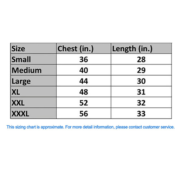 Men’s Football Champions New England T-Shirts product image