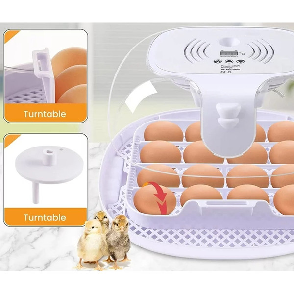 Egg Incubator with Auto-Turning Mechanism & Filtration System product image