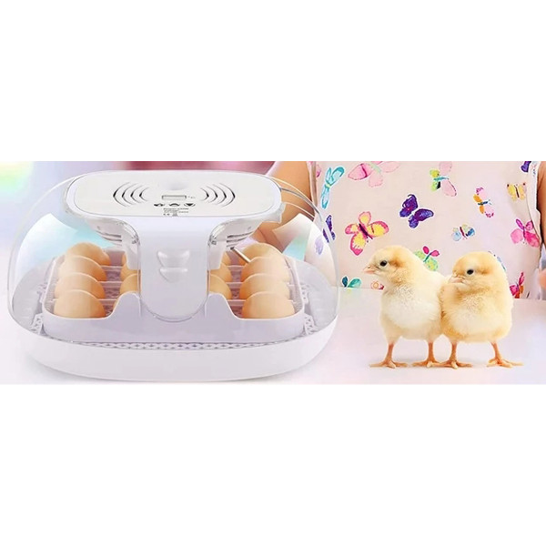 Egg Incubator with Auto-Turning Mechanism & Filtration System product image