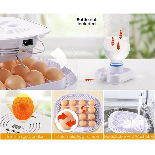 Egg Incubator with Auto-Turning Mechanism & Filtration System product image