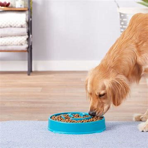 Healthy Slow Feeder Pet Bowl product image