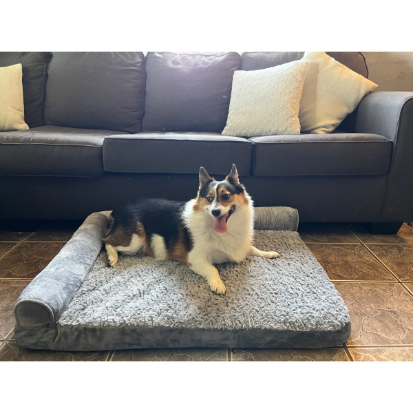 Microplush Orthopedic Bolstered Pet Bed product image