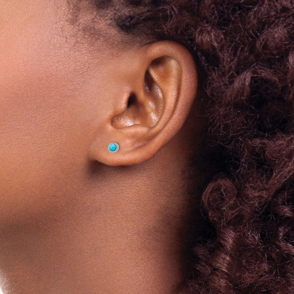 Titanium Brushed Turquoise 4mm Stud Earrings product image