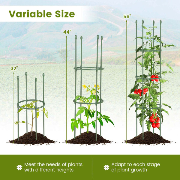 Adjustable Plant Support Tomato Cage (2-Pack) product image