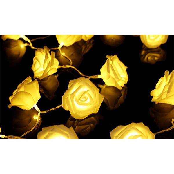 iMounTEK® Rose Flower String Lights (2-Pack) product image