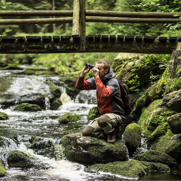 Steiner Safari UltraSharp 8 x 22 Binoculars product image