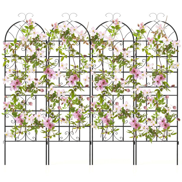 Metal Garden Trellis for Climbing Plants (4-Pack) product image