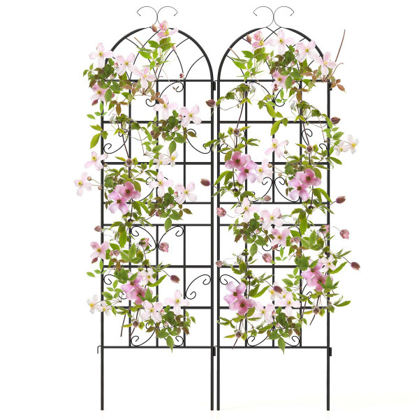 Metal Garden Trellis for Climbing Plants (4-Pack) product image