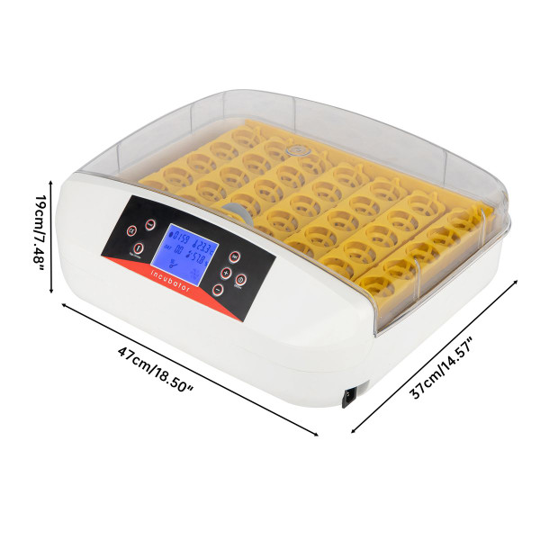 42-Egg Practical Fully-Automatic Incubator product image