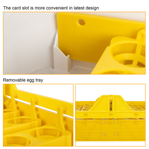42-Egg Practical Fully-Automatic Incubator product image