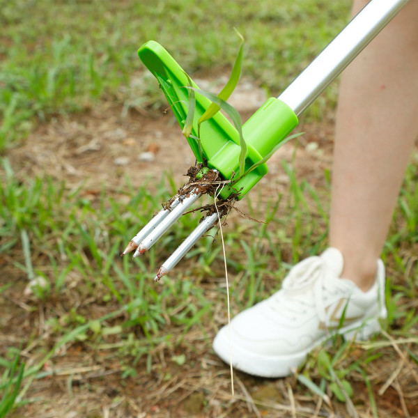 LakeForest Grass Removal Hand Tool product image