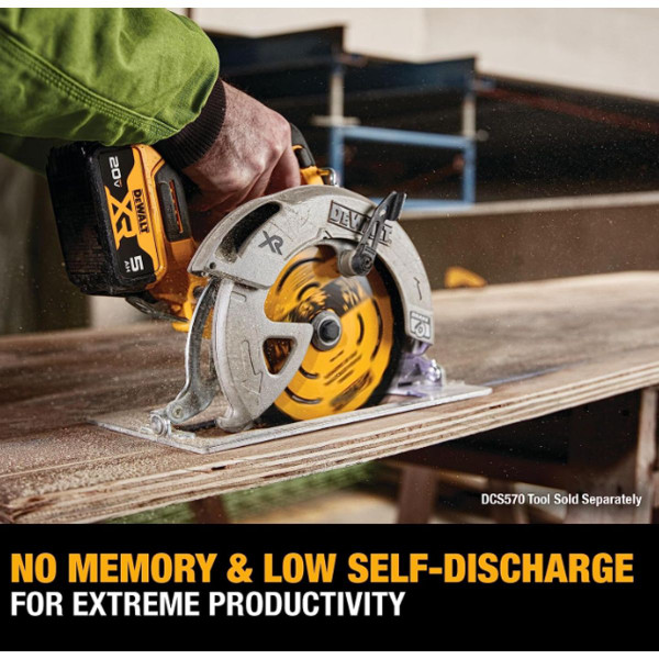 Dewalt MAX XR Lithium Ion Battery product image