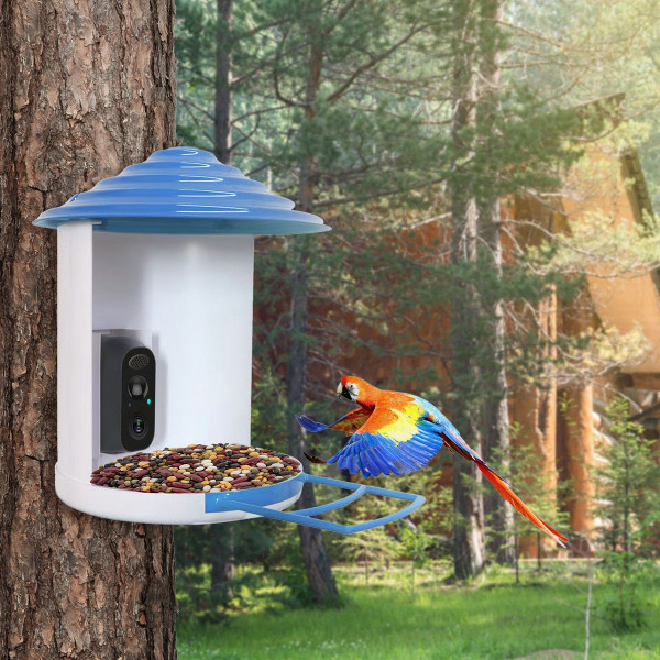 iNova™ Smart Bird Feeder with Camera product image