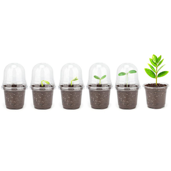 iMounTEK® Plant Nursery Pot with Lid (30-Pack) product image