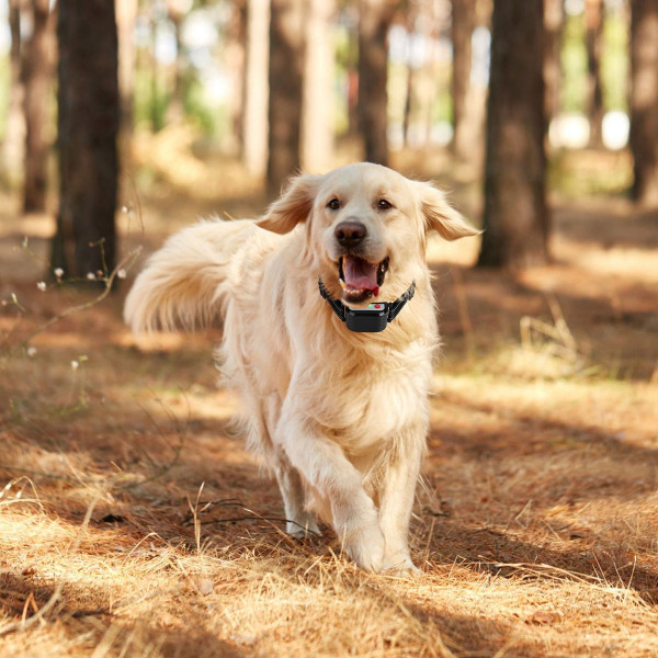 iMounTEK® Wireless Electric Fence for Dogs product image