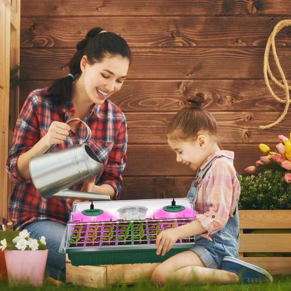 iMounTEK® 40-Cell Seed Starter Tray (2-Pack) product image