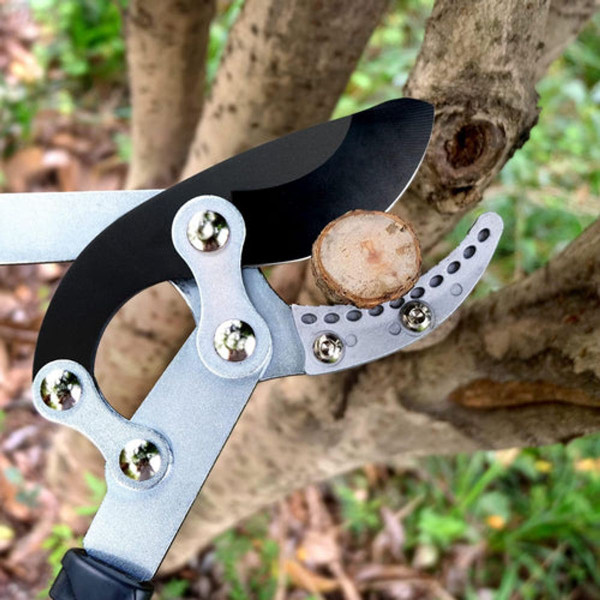 Extendable Anvil Lopper + Pruning Shears product image