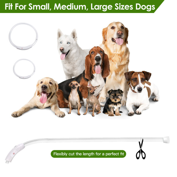 iMounTEK® USB-Rechargeable LED Dog Collar product image