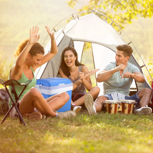 iMounTEK® 24L Portable Car Cooler product image
