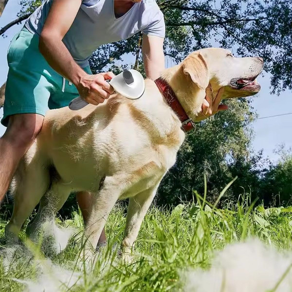 Remarkable Goodz® Pet Massage Grooming Brush product image