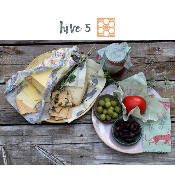 Reusable Beeswax Food Storage Wrap (5-Pack) product image