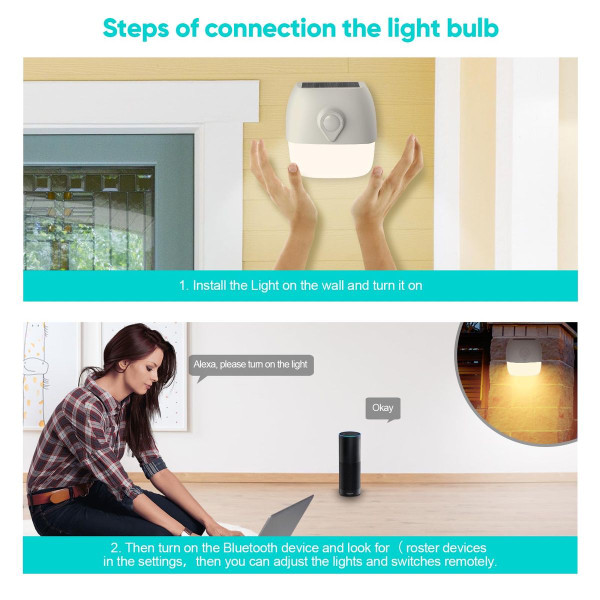 Smart Solar Flood Light with Motion Sensor (2-Pack) product image