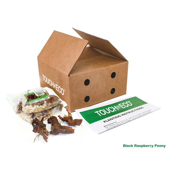 Gardeners' Favorite Fall Flower Bulbs (4 Varieties) product image