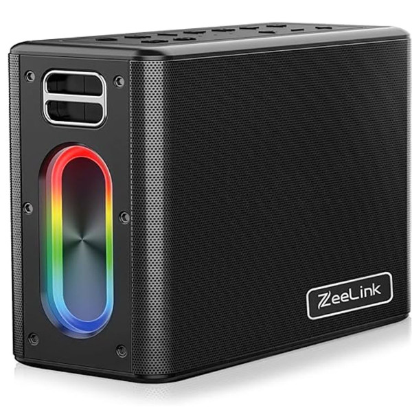 ZeeLink Karaoke Machine with 2 Microphones Pick Your Plum