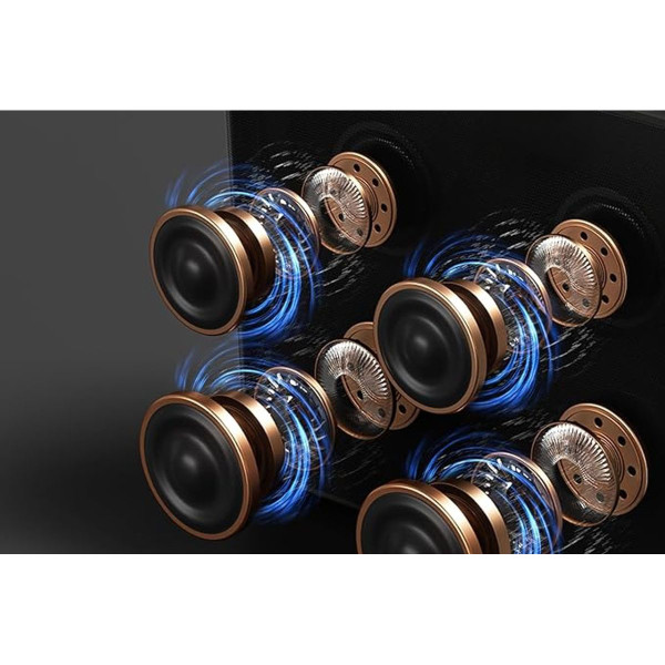 ZeeLink Karaoke Machine with 2 Microphones Pick Your Plum