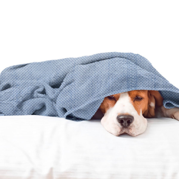 Fluffy Pet Blanket (2 Sizes) product image