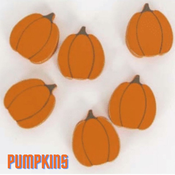  Chunky-Shaped Wooden Refrigerator Magnets (Set of 6) product image